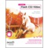 Foundation Flash Cs3 Video