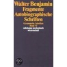 Gesammelte Schriften; Bd.6 door Walter Benjamin