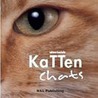 Katten by A. Bachella