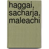 Haggai, Sacharja, Maleachi by Ina Willi-Plein