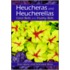 Heucheras And Heucherellas
