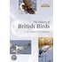 History Of British Birds P