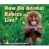 How Do Animal Babies Live?