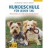 Hundeschule für jeden Tag