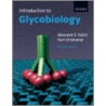 Intro To Glycobiology 2e P door Maureen E. Taylor