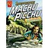 Investigating Machu Picchu