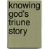Knowing God's Triune Story