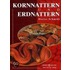 Kornnattern und Erdnattern