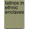 Latinos in Ethnic Enclaves door Stephanie Bohon