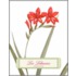 Les Liliacees Address Book