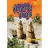 Let's Look at Prairie Dogs door Christine Zuchora-Walske