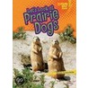 Let's Look at Prairie Dogs by Christine Zuchora-Walske
