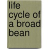 Life Cycle Of A Broad Bean door Angela Rovston
