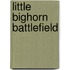 Little Bighorn Battlefield