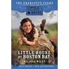 Little House by Boston Bay door Melissa Wiley