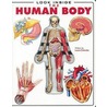Look Inside The Human Body door Luann Colombo