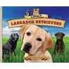 Lovely Labrador Retrievers door Pam Scheunemann