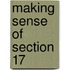 Making Sense Of Section 17