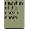 Marshes of the Ocean Shore by Joseph V. Siry