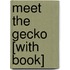 Meet the Gecko [With Book]