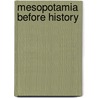 Mesopotamia Before History by Petr Charvat