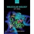 Molecular Biology Of Rna P