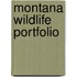 Montana Wildlife Portfolio