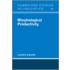 Morphological Productivity