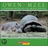 Owen Y Mzee/ Owen and Mzee