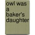 Owl Was A Baker's Daughter