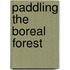 Paddling The Boreal Forest