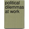 Political Dilemmas At Work door Mike Phipps