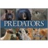 Predators of North America