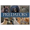 Predators of North America door Dave Taylor