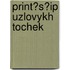 Print?s?ip Uzlovykh Tochek
