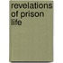 Revelations Of Prison Life