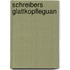 Schreibers Glattkopfleguan