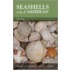 Seashells Of The Caribbean