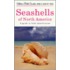 Seashells of North America