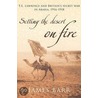 Setting The Desert On Fire door James Barr
