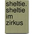 Sheltie. Sheltie im Zirkus