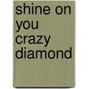Shine on You Crazy Diamond door New Mexico Teens