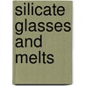 Silicate Glasses And Melts door Oascal Richet