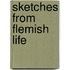 Sketches From Flemish Life