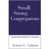 Small Strong Congregations by Kennon L. Callahan