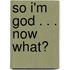 So I'm God . . . Now What?