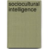 Sociocultural Intelligence door Kerry Patton
