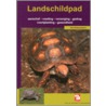 De landschildpad