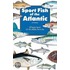 Sport Fish of the Atlantic