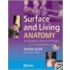 Surface and Living Anatomy